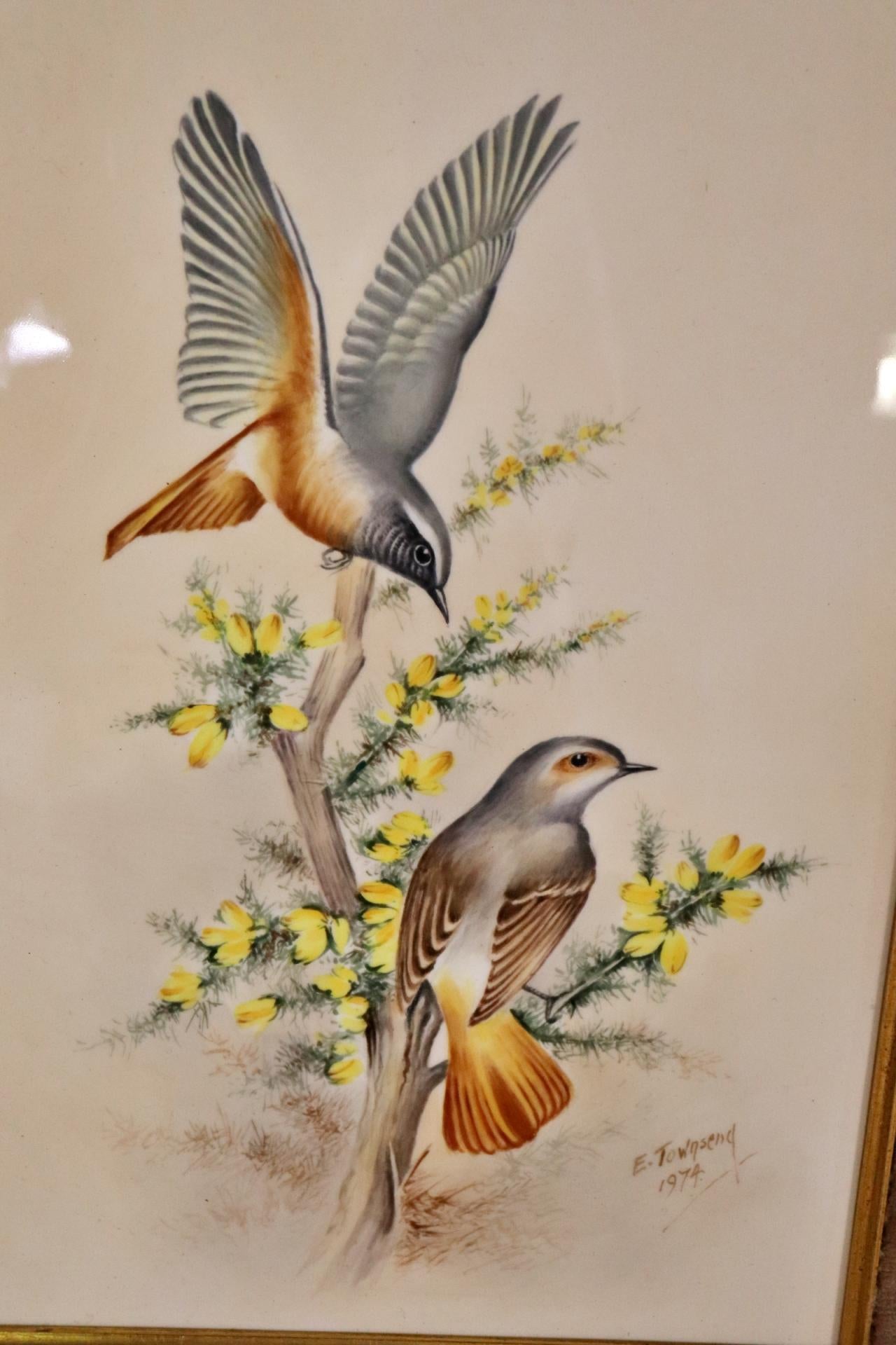 Set of 4 Royal Worcester Porcelain Framed Plaques of Birds