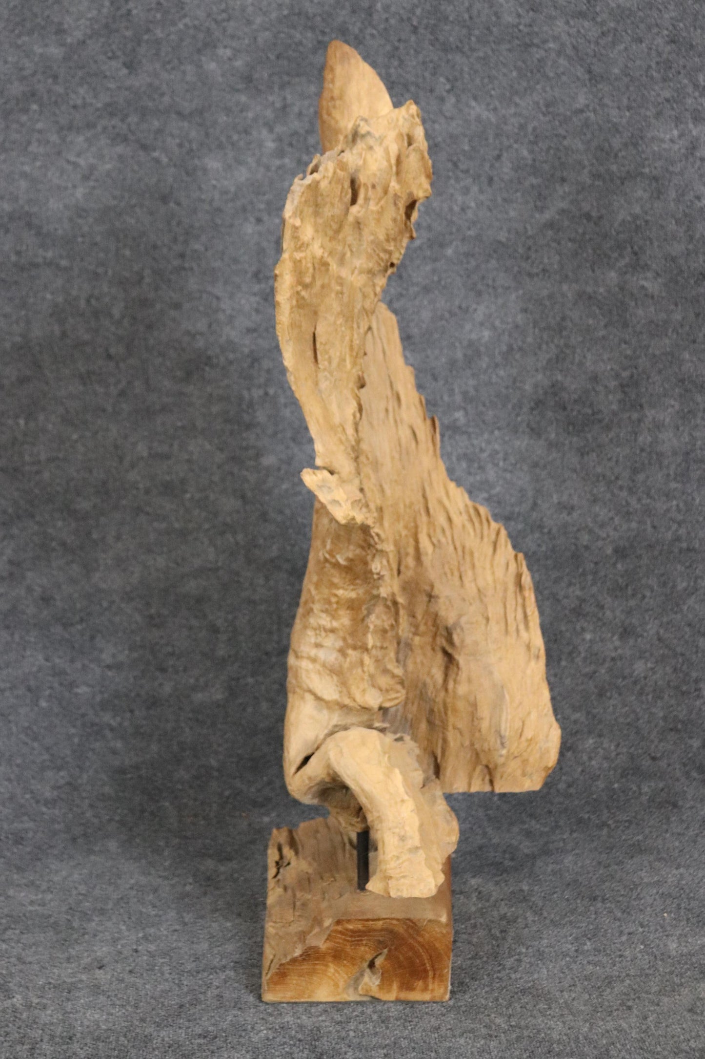 Gorgeous Mid Century Modern Natural Driftwood Mounted Specimen Sculpture